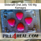 Sildenafil Oral Jelly 100Mg Kamagra 13